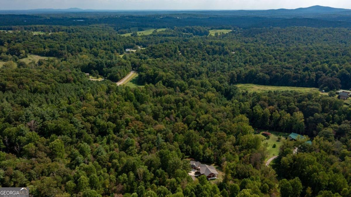117 Joes Cove Dawsonville - 57