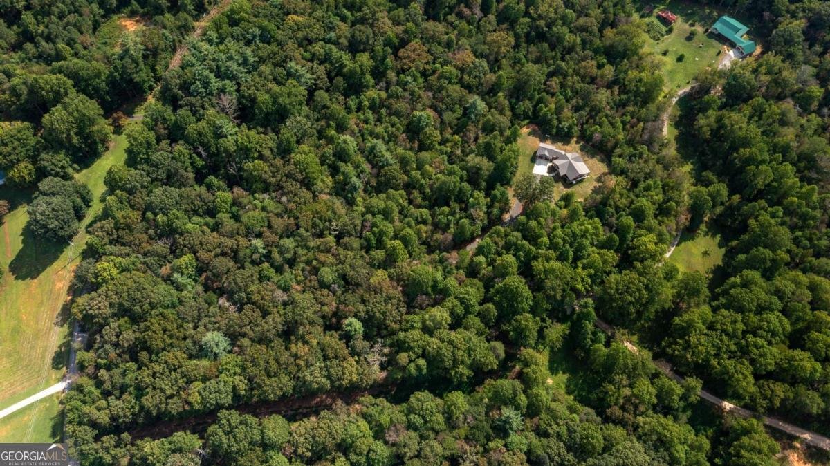 117 Joes Cove Dawsonville - 58