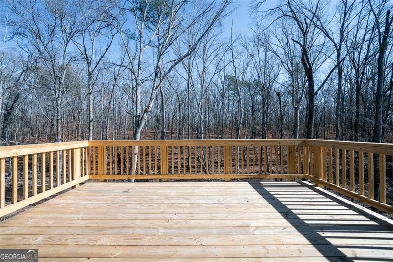 3664 THORNHILL Court Douglasville - 36