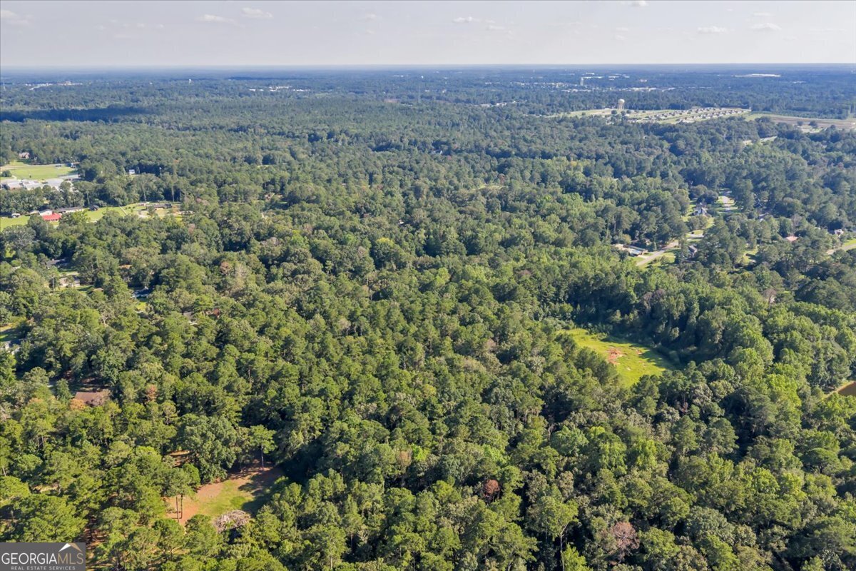 311 Holly Drive Dublin - 48