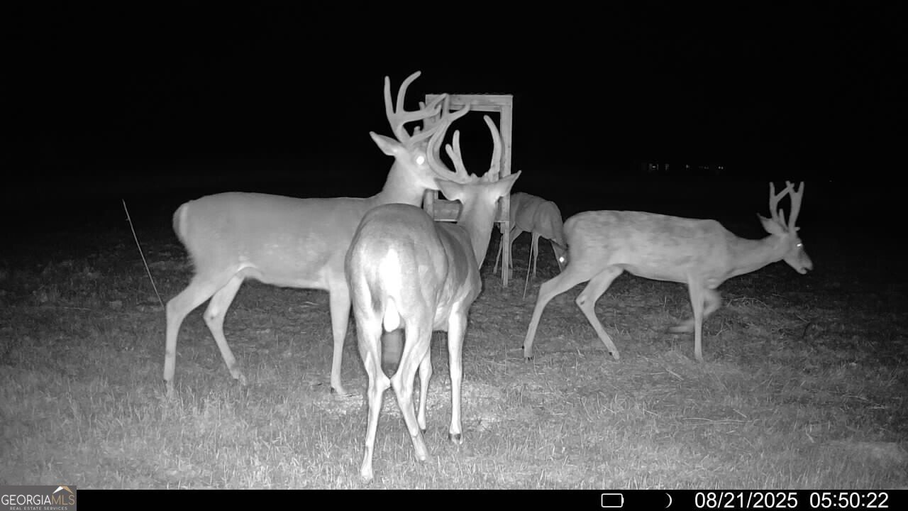 379 Horseshoe Bend Road Montezuma - 52