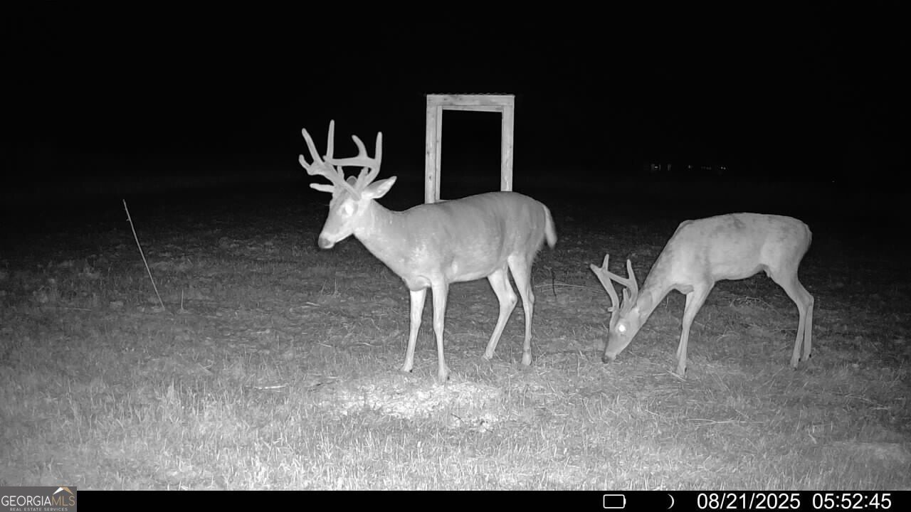 379 Horseshoe Bend Road Montezuma - 53