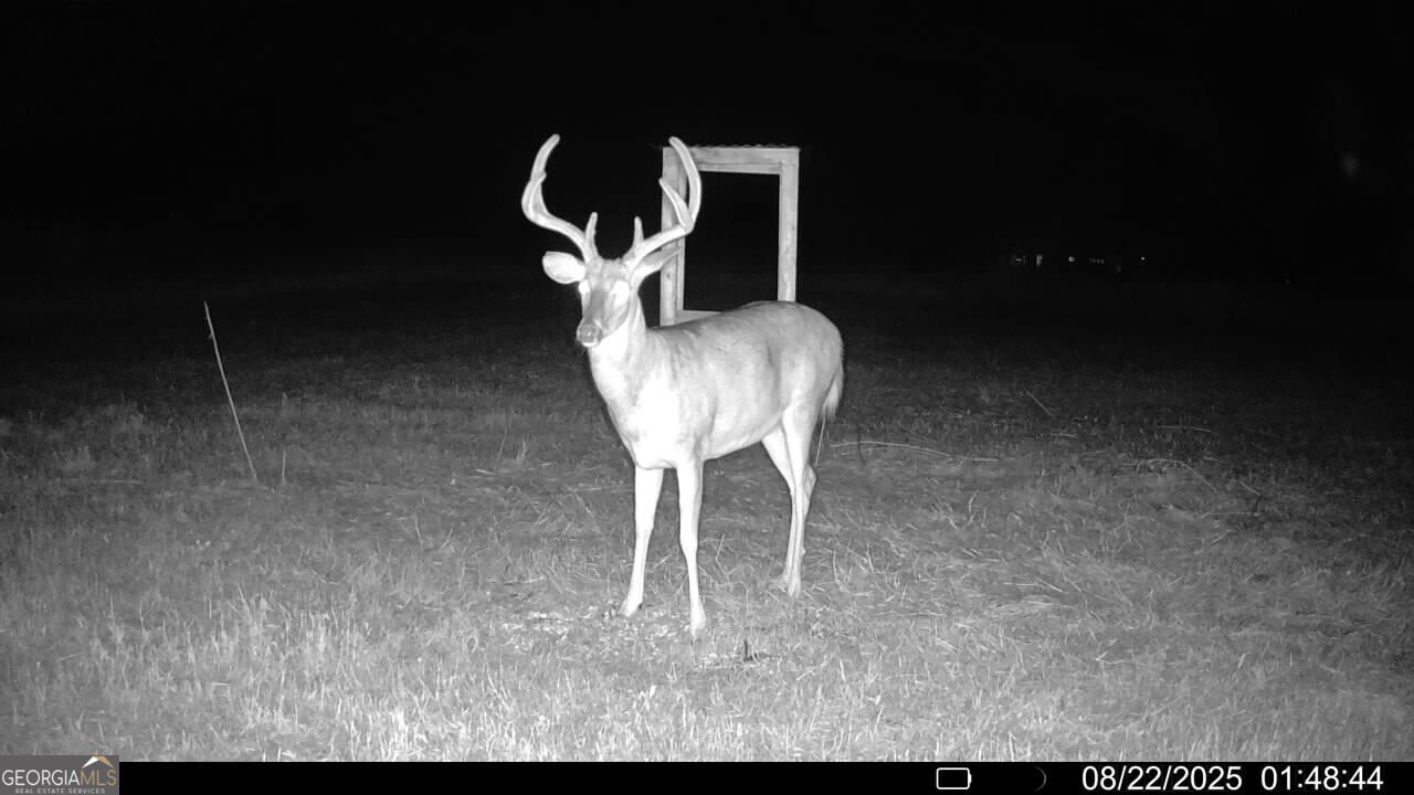 379 Horseshoe Bend Road Montezuma - 54