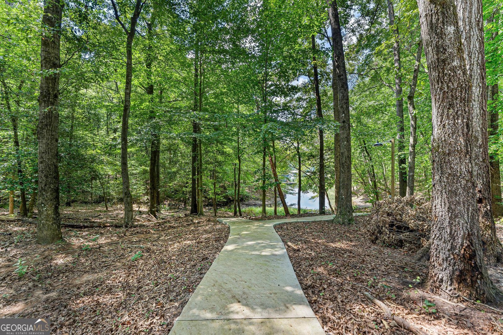 3119 Rock Springs Road Lavonia - 27