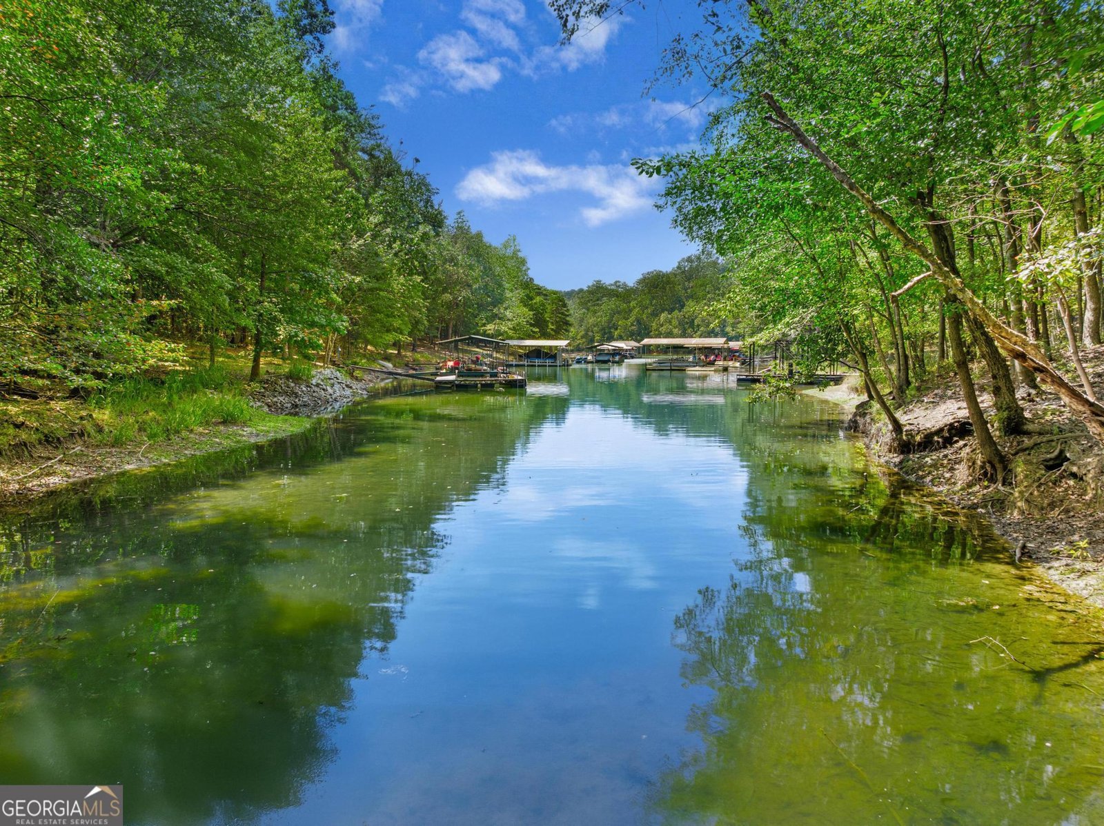 3119 Rock Springs Road Lavonia - 28