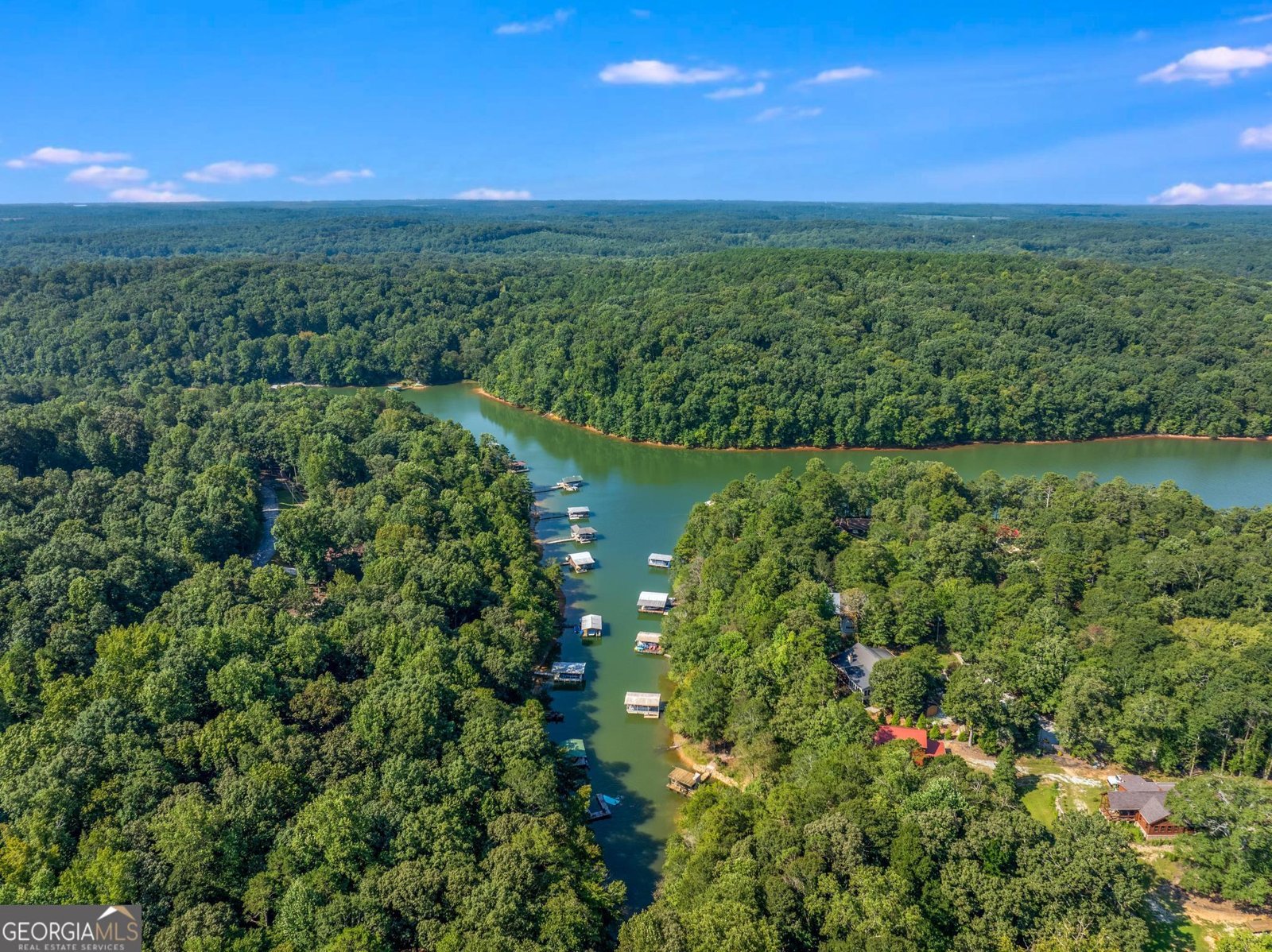 3119 Rock Springs Road Lavonia - 36