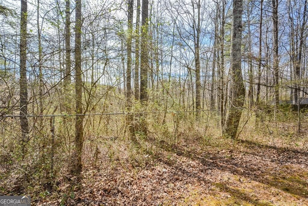 581 Victorian Circle Dallas - 42