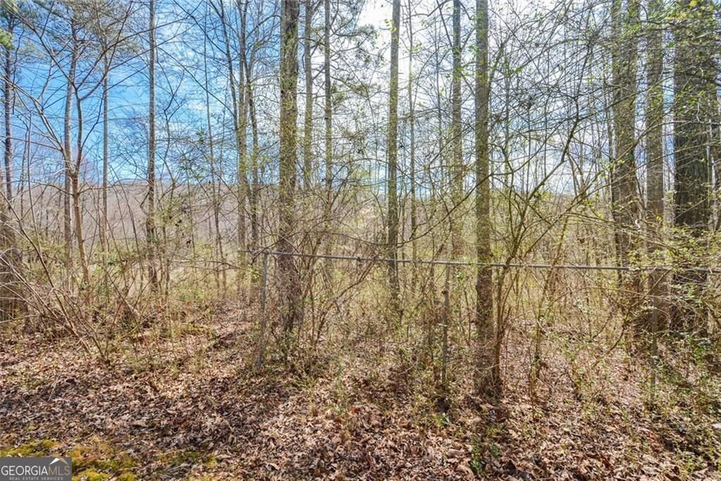 581 Victorian Circle Dallas - 44