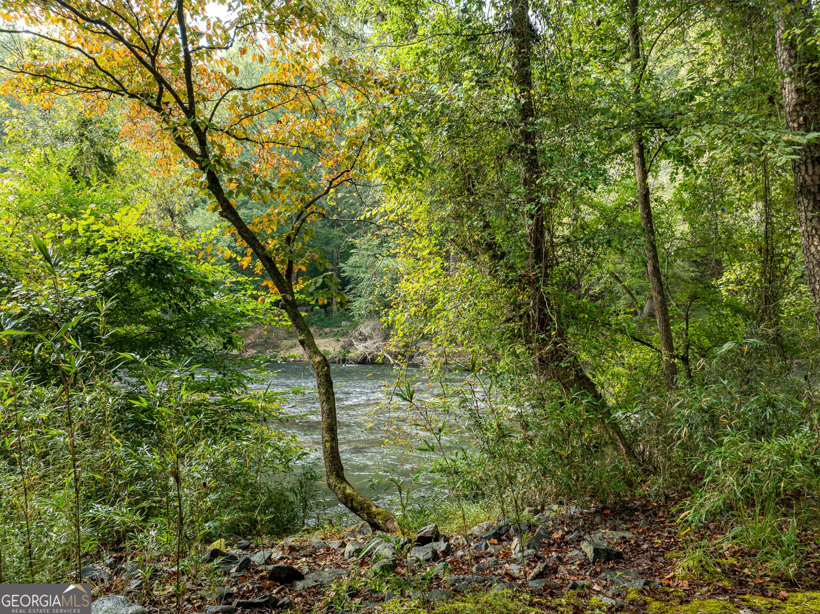 54 First Street Ellijay - 20