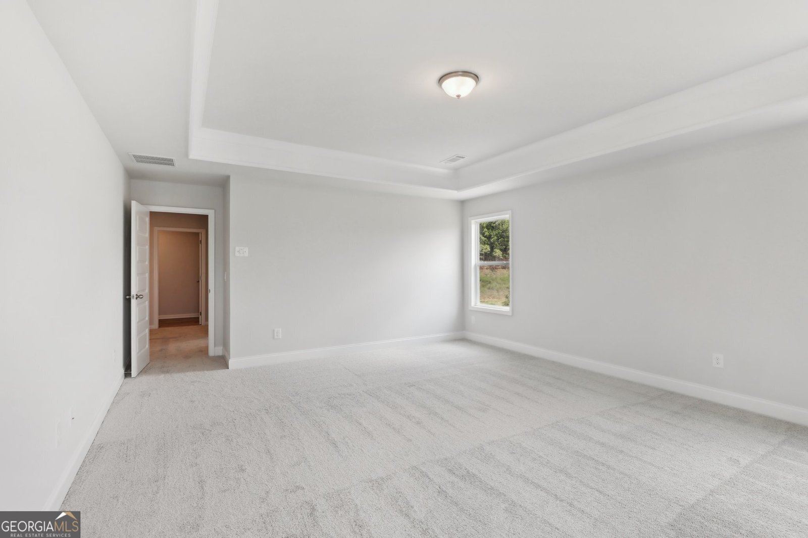 310 Westfall Terrace Loganville - 44