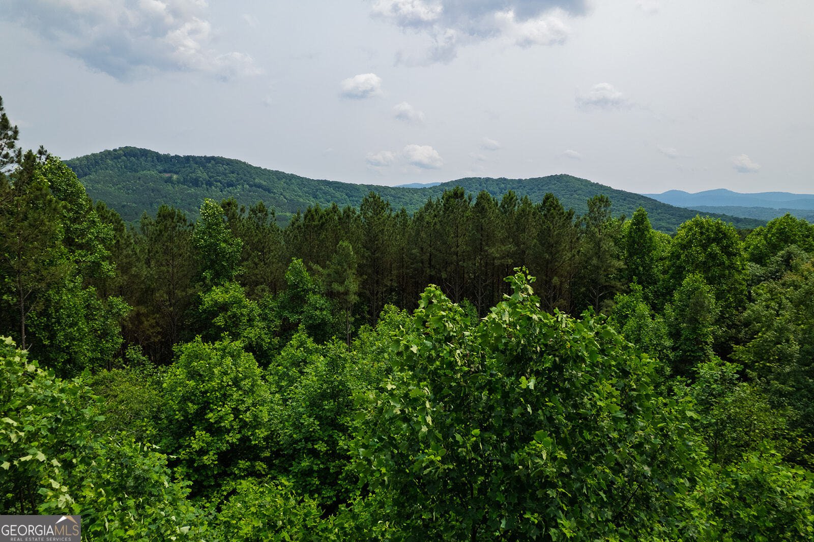 239 Ridge Top Drive Ellijay - 21