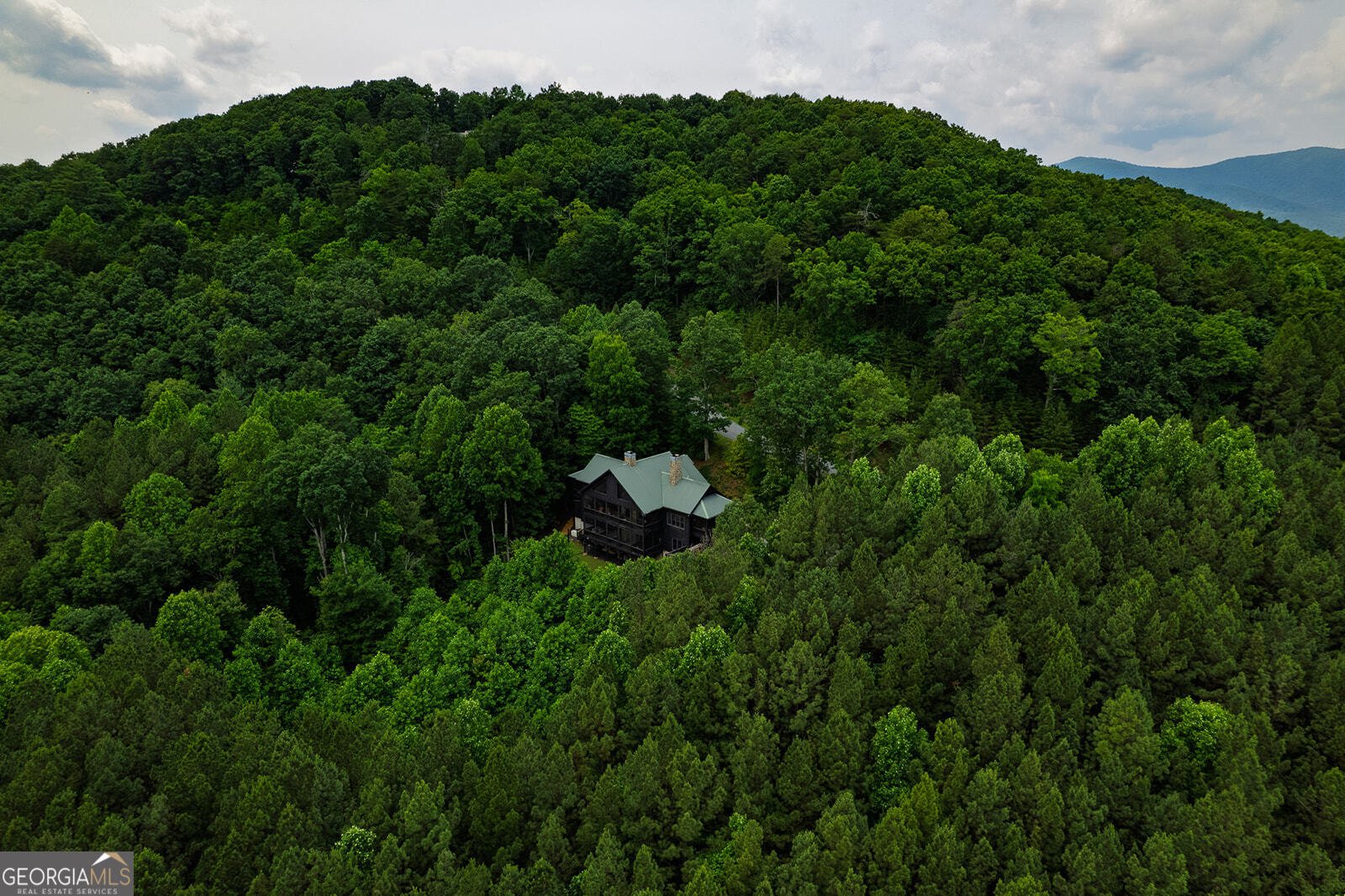 239 Ridge Top Drive Ellijay - 25