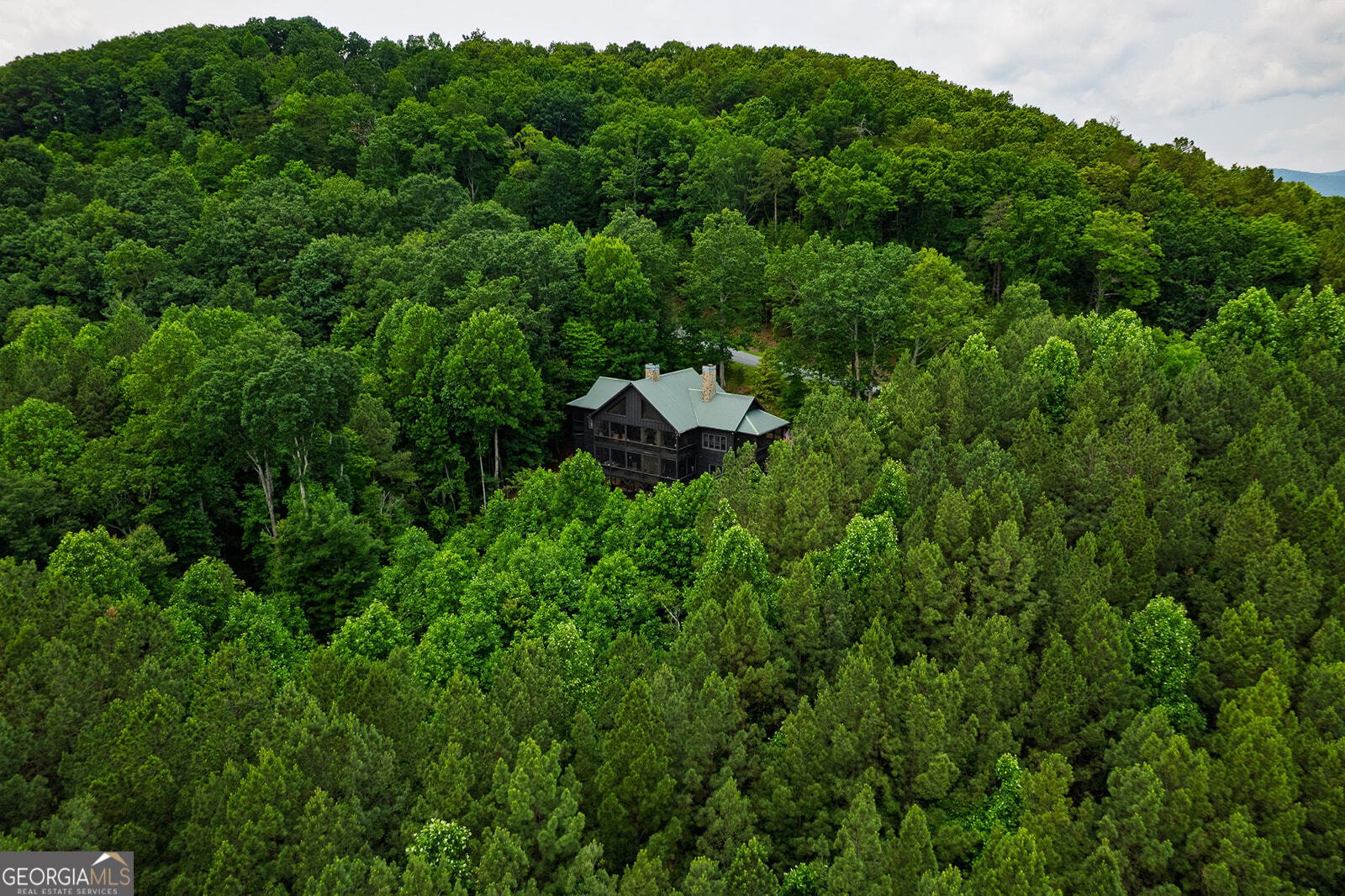 239 Ridge Top Drive Ellijay - 26