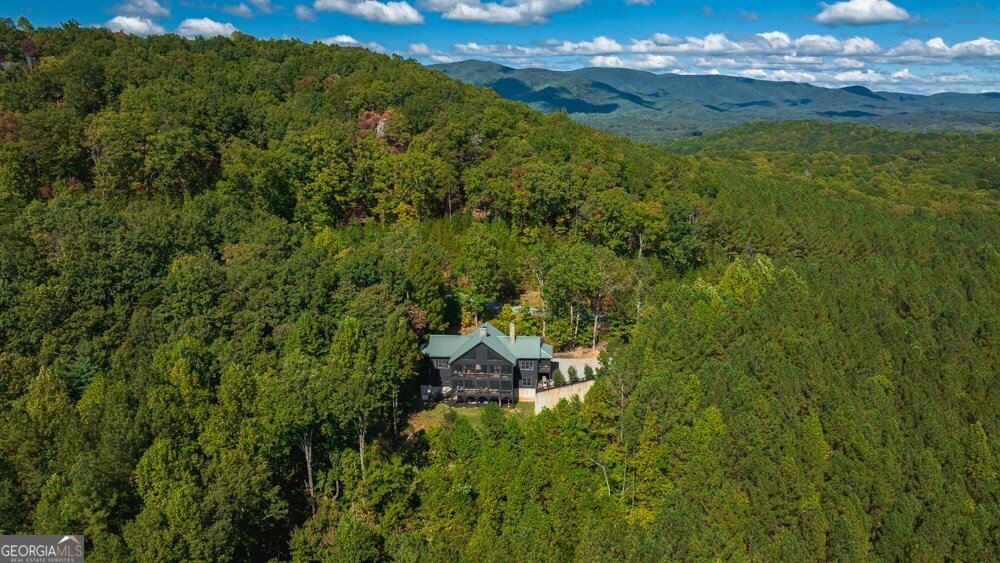 239 Ridge Top Drive Ellijay - 37