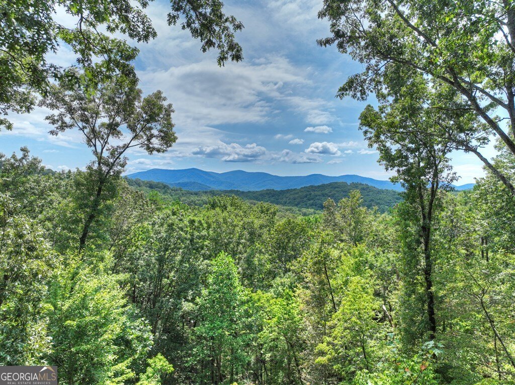 31 Haley Drive Cherry Log - 10