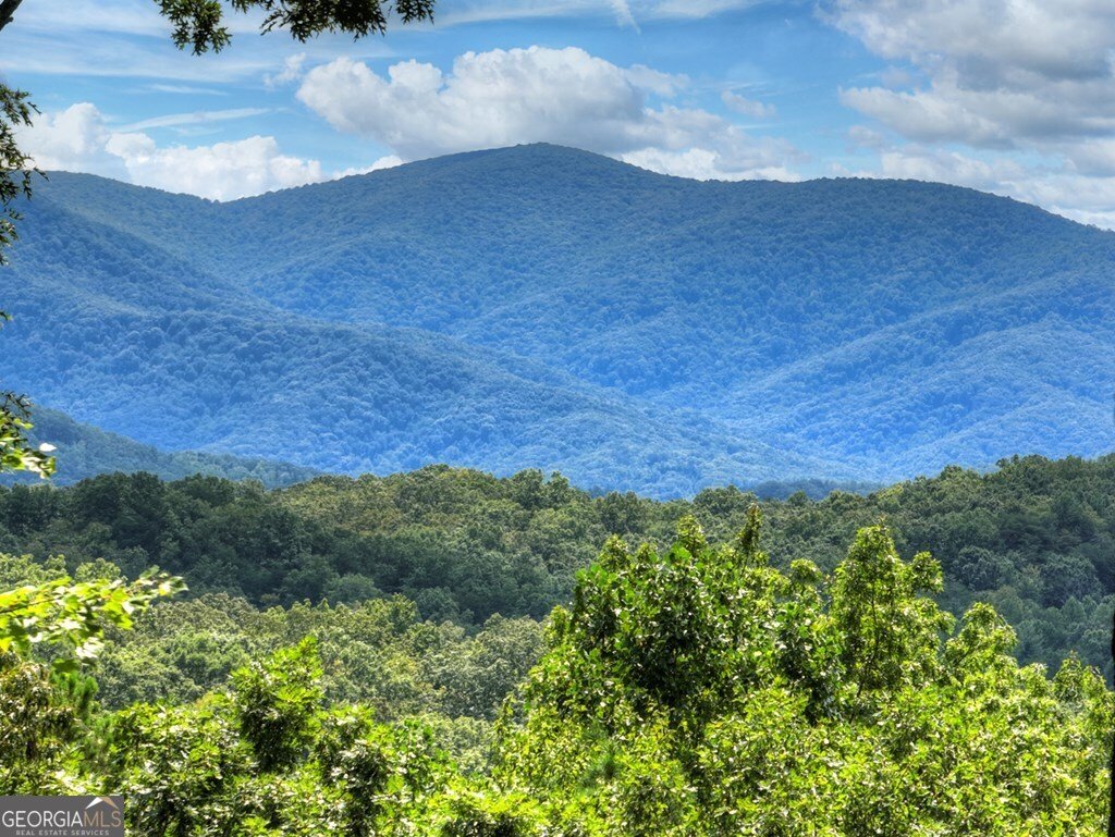 31 Haley Drive Cherry Log - 15