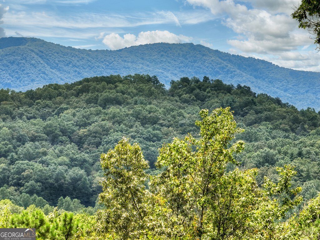 31 Haley Drive Cherry Log - 23