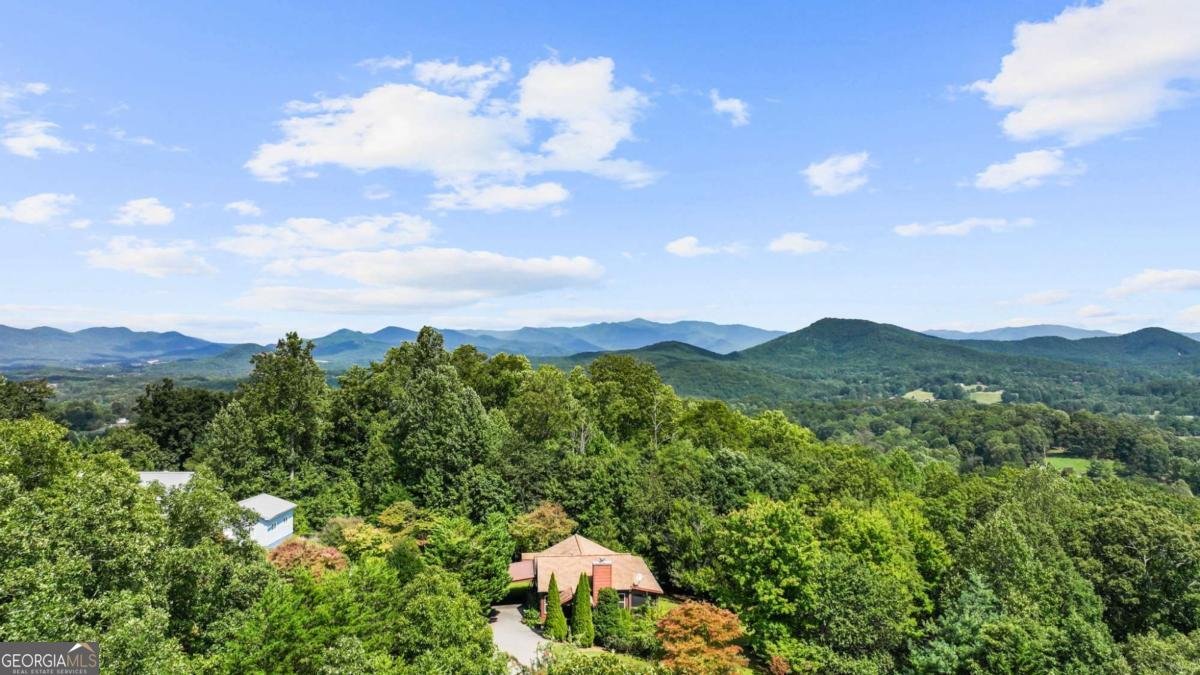 392 Poplar Ridge Drive Blairsville - 22