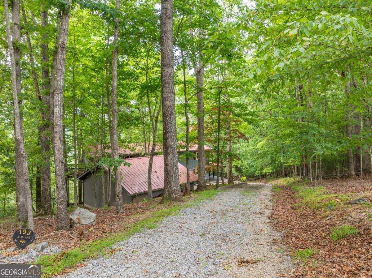 193 Alm Lane Ellijay - 3