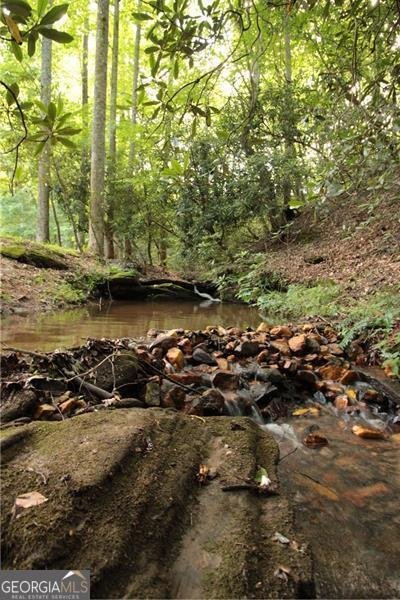 2889 Old Parker Place Road Ellijay - 11
