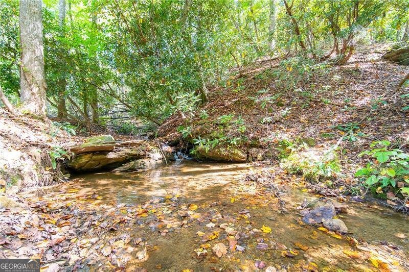 2889 Old Parker Place Road Ellijay - 17