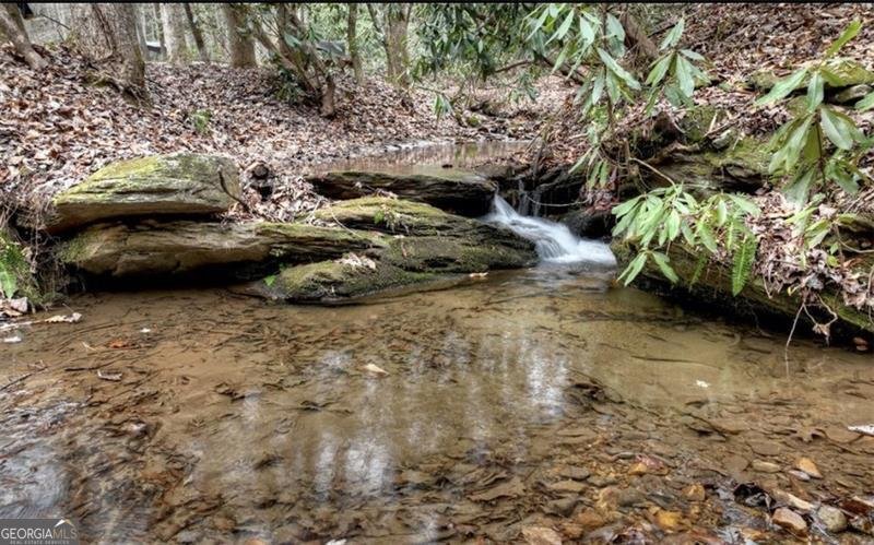 2889 Old Parker Place Road Ellijay - 8