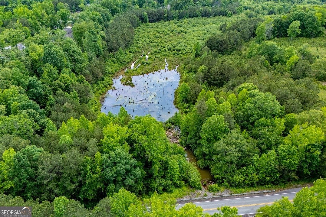1050 Denton Road Douglasville - Photo 108