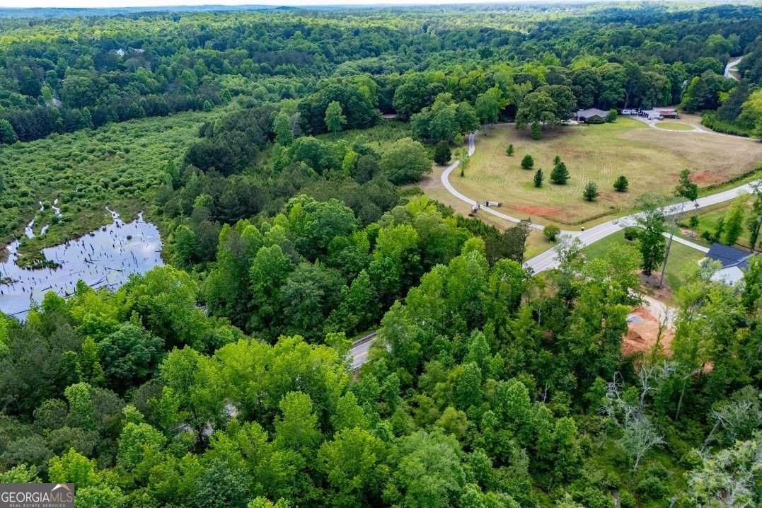 1050 Denton Road Douglasville - Photo 109