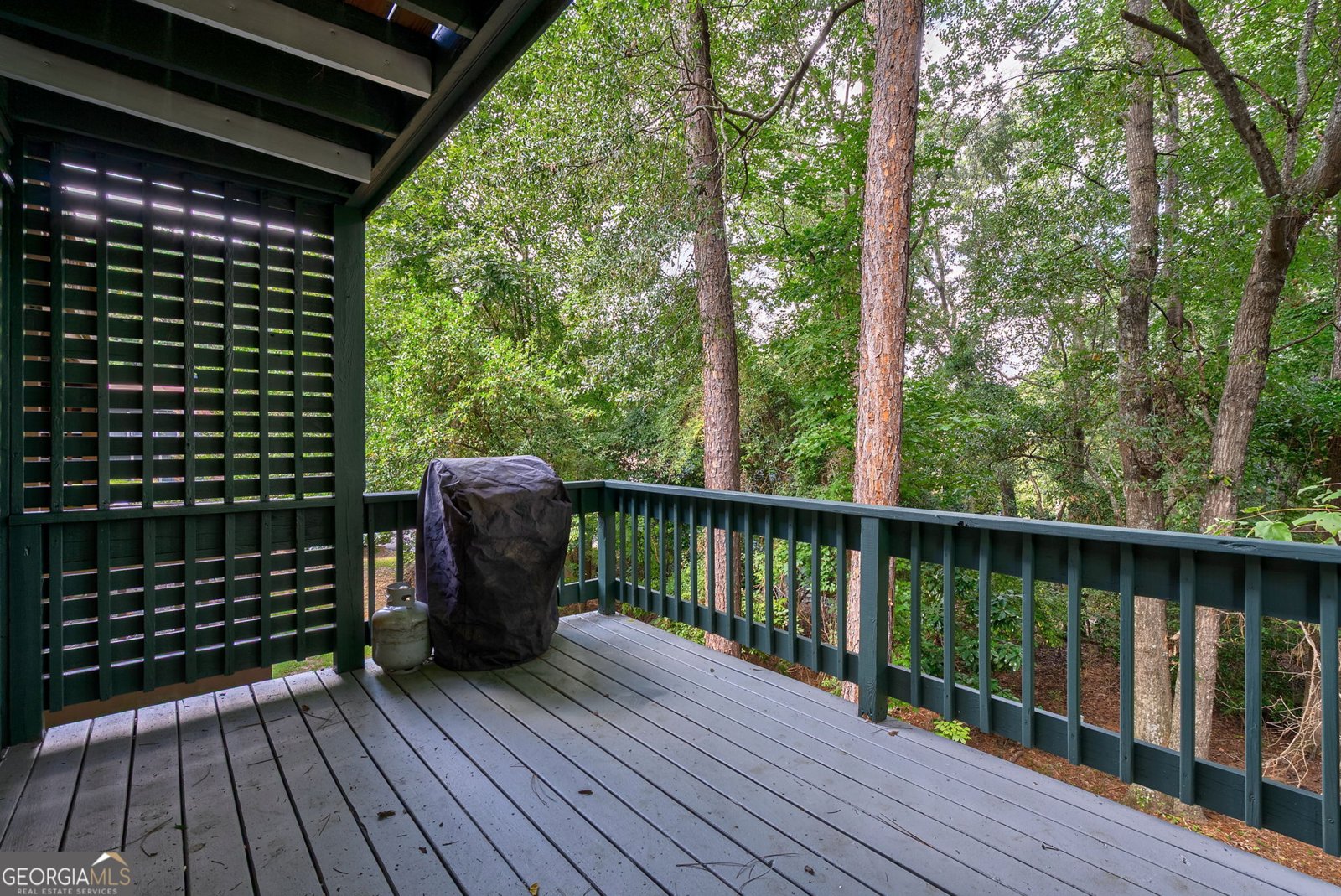 156 Fernbanks Court Athens - 26