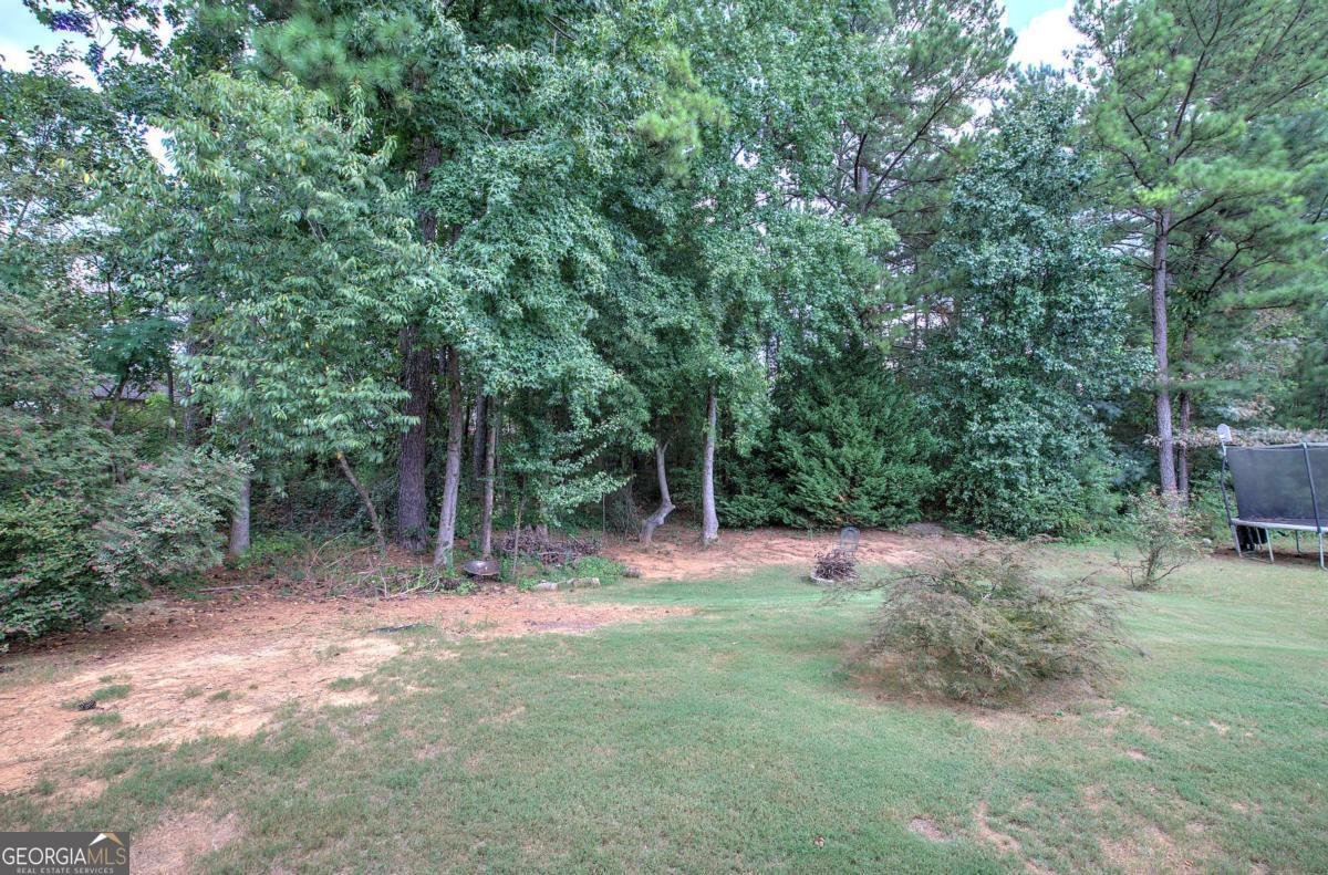 155 Mercer Lane Cartersville - 50