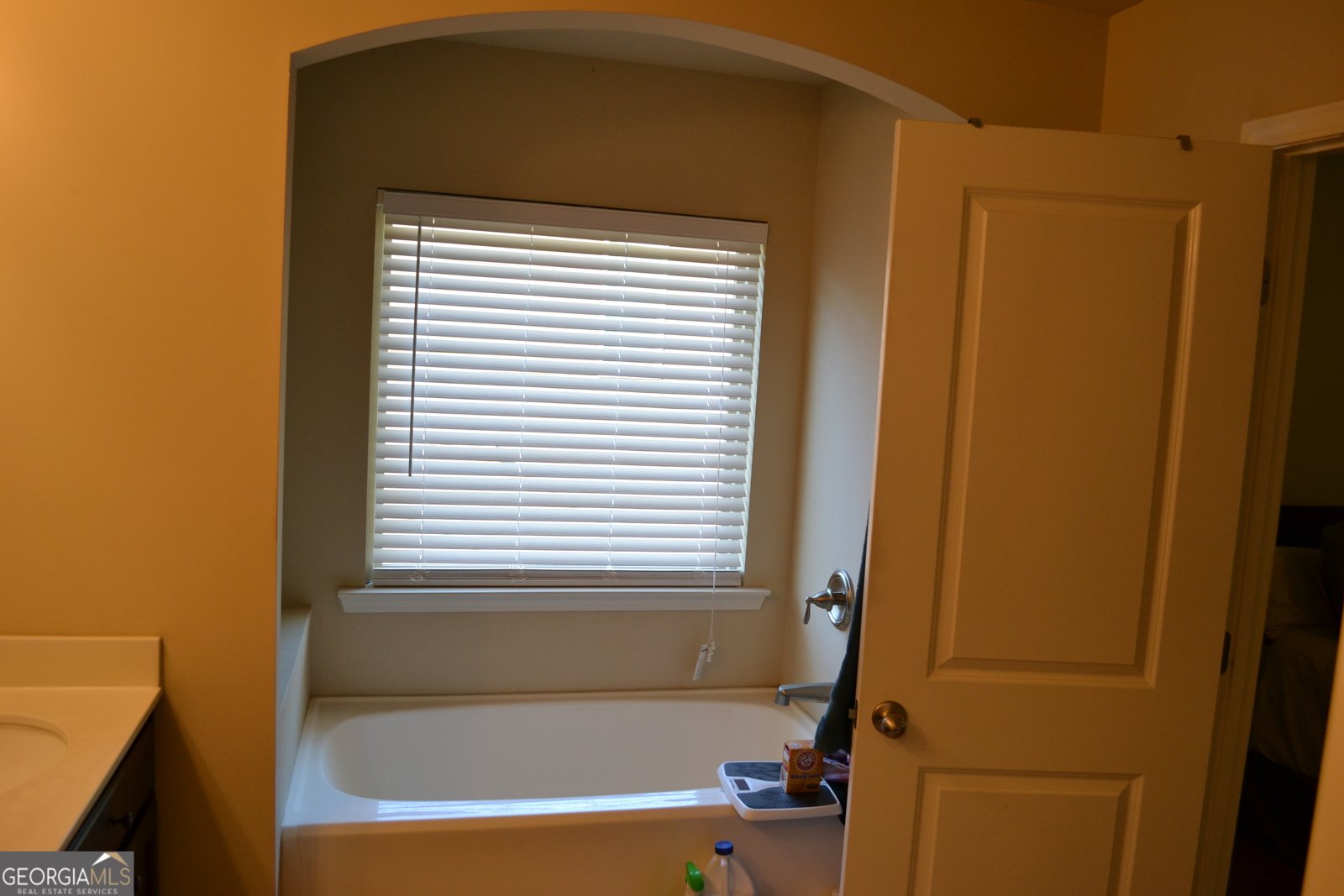 5037 Saphire Court Douglasville - 14