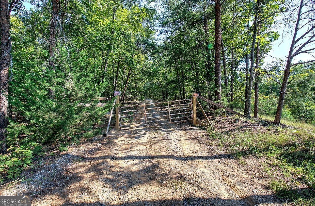 770 Vinson Mountain Road Rockmart - 23