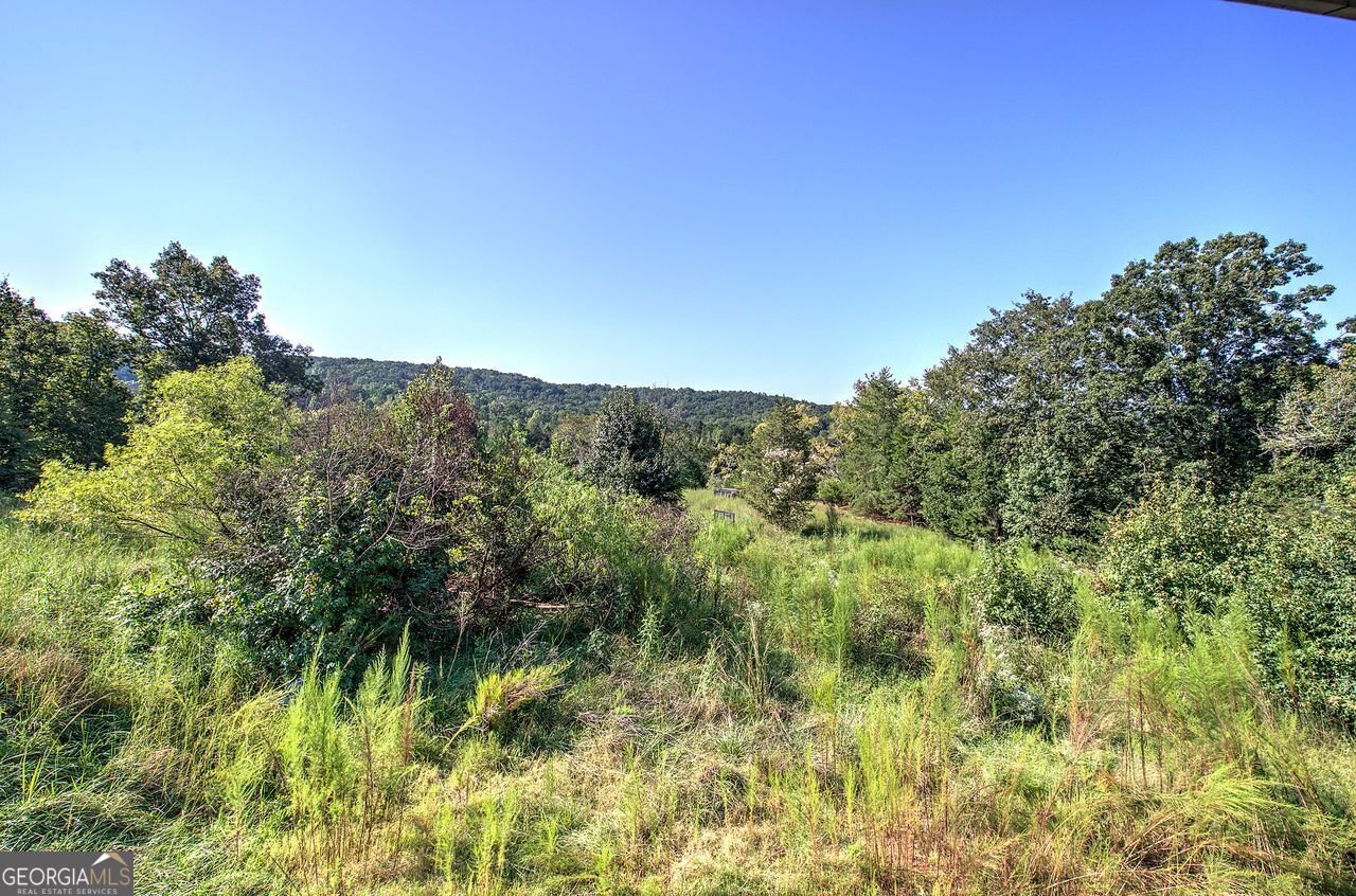 770 Vinson Mountain Road Rockmart - 47