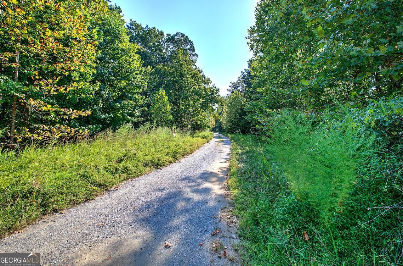 770 Vinson Mountain Road Rockmart - 59