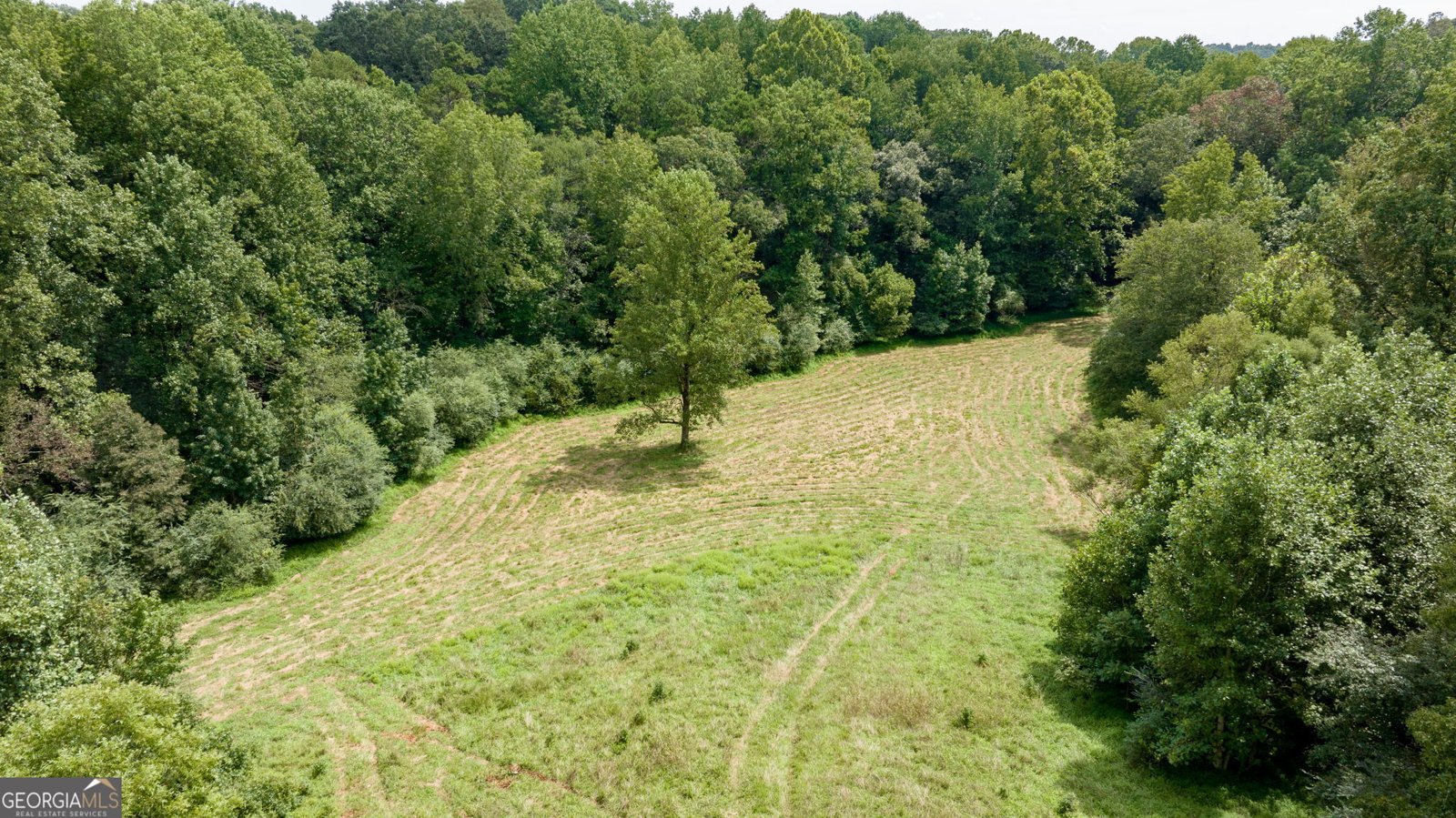 131 Caudell Drive Lula - 77