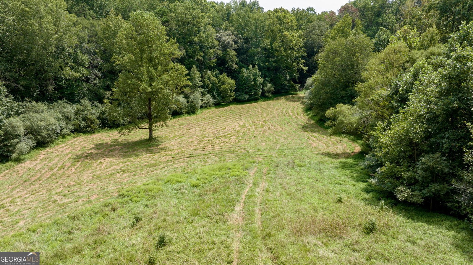 131 Caudell Drive Lula - 78