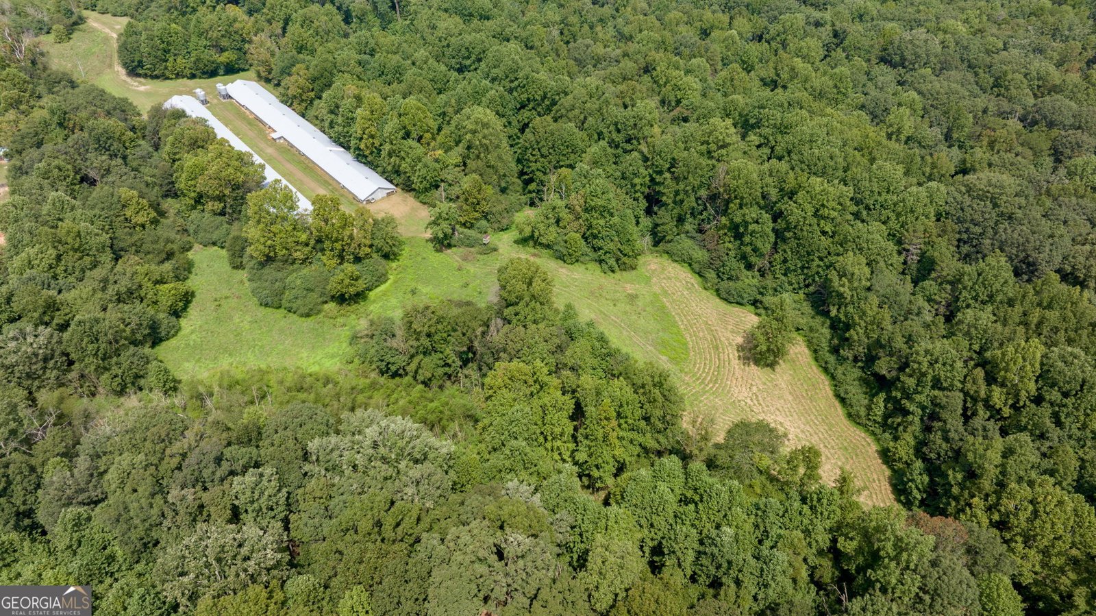 131 Caudell Drive Lula - 81