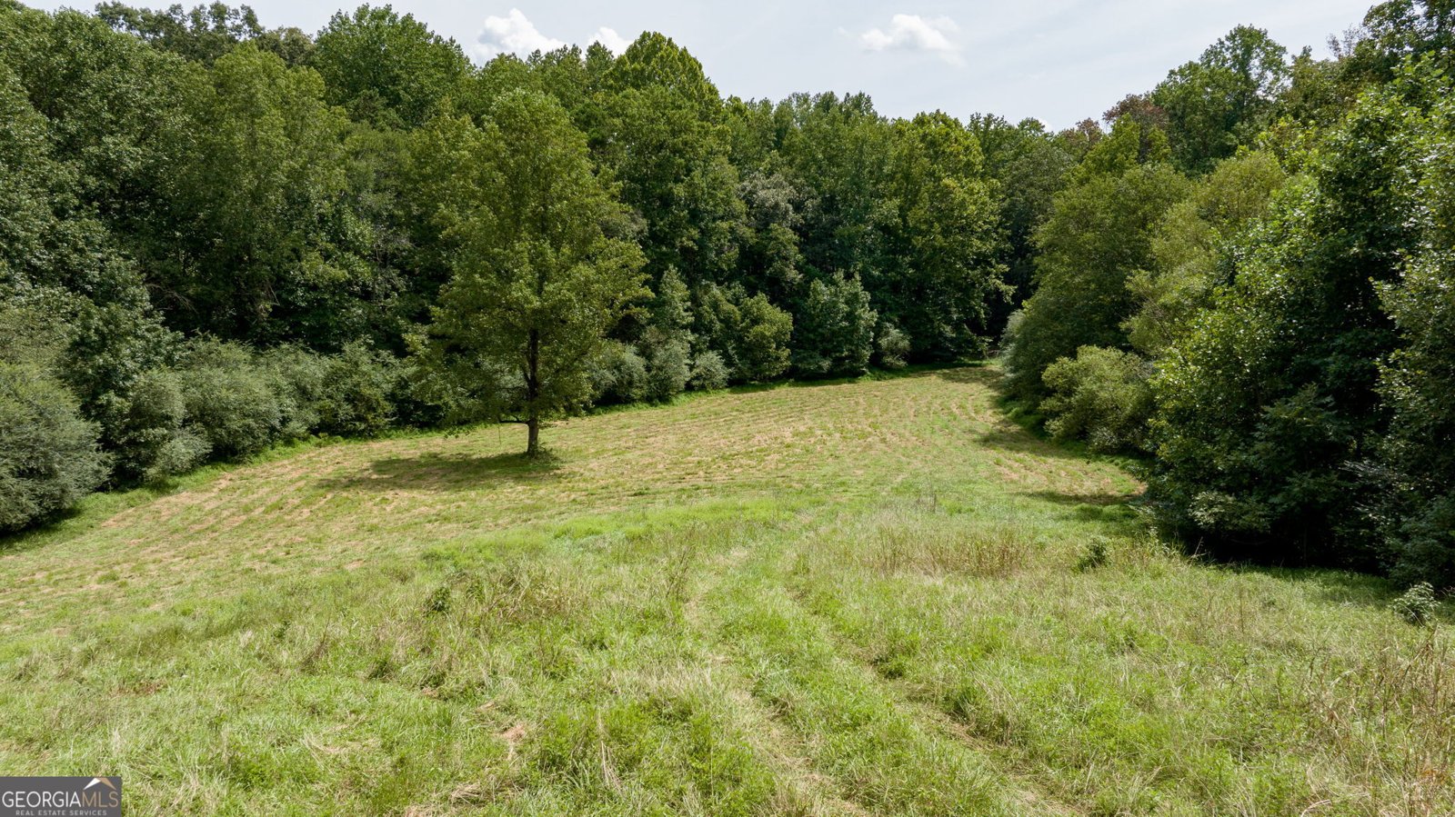 131 Caudell Drive Lula - 85