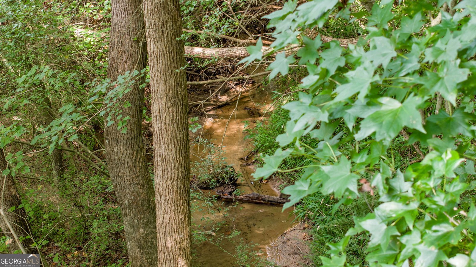 131 Caudell Drive Lula - 87