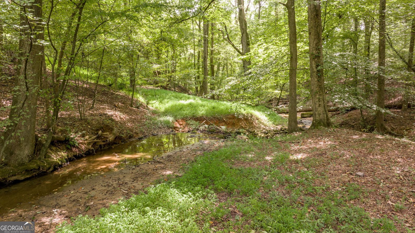 131 Caudell Drive Lula - 88