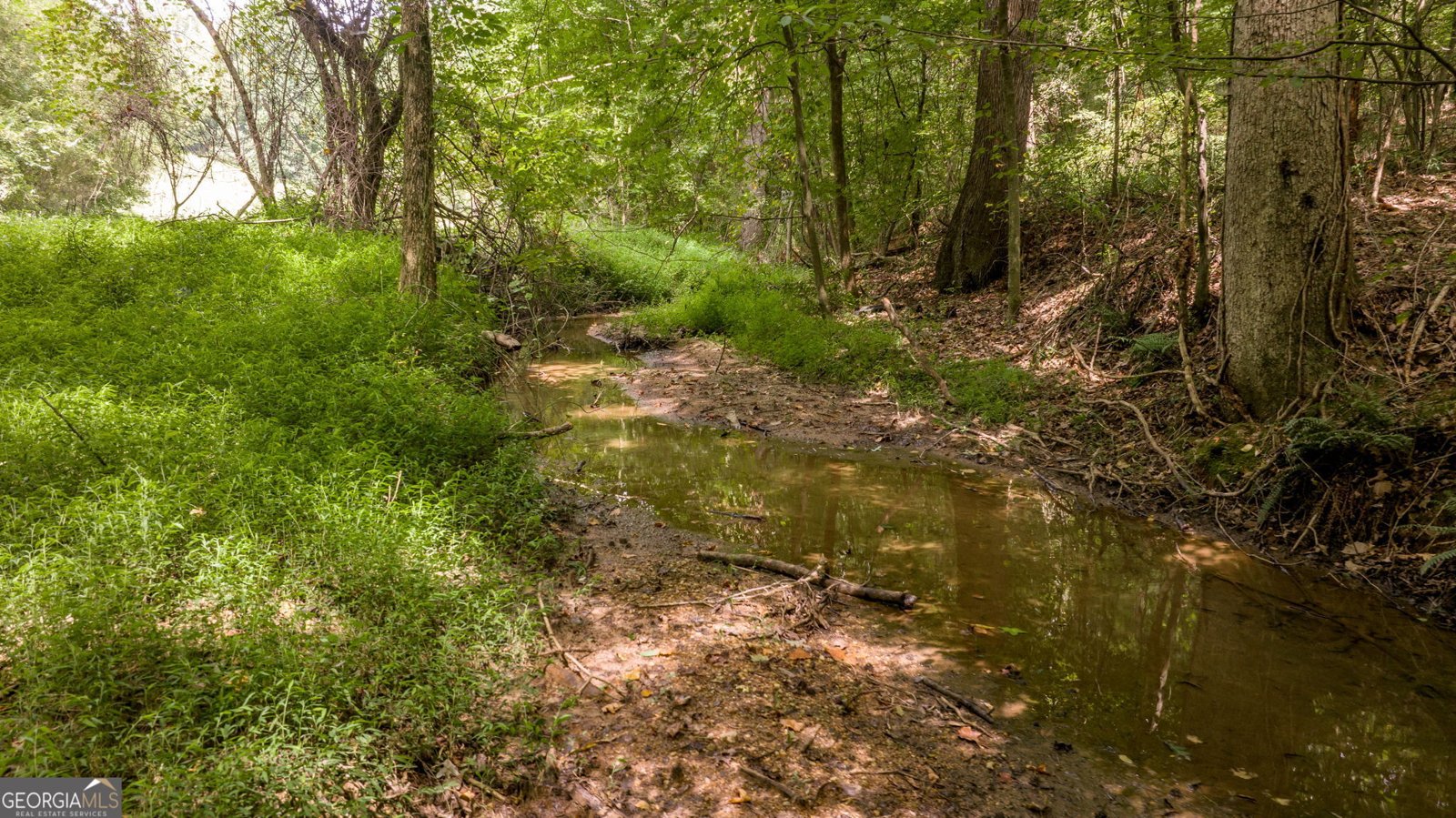 131 Caudell Drive Lula - 89