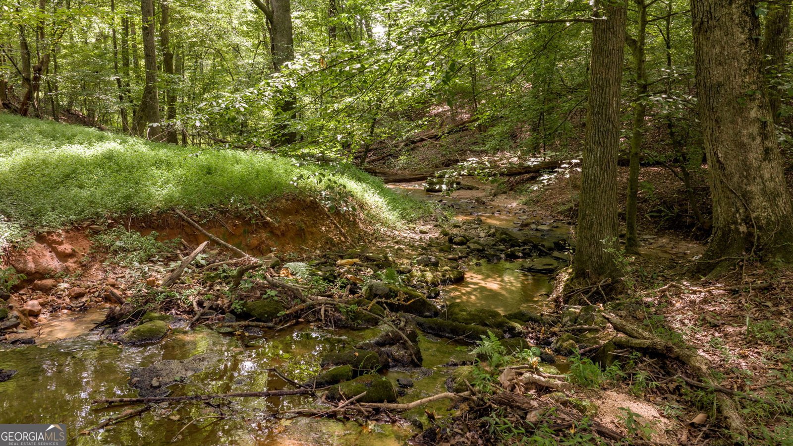 131 Caudell Drive Lula - 90