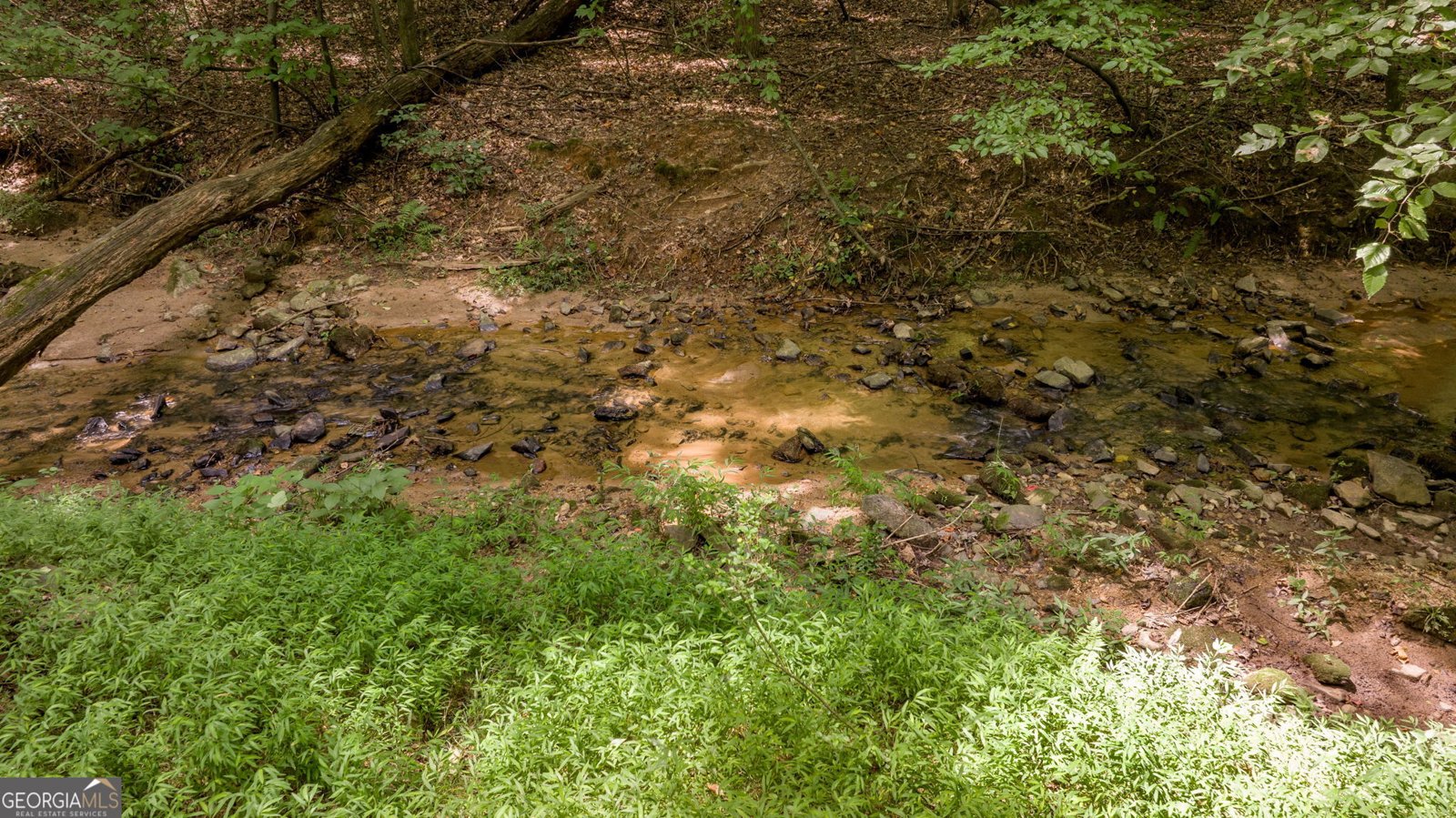 131 Caudell Drive Lula - 91