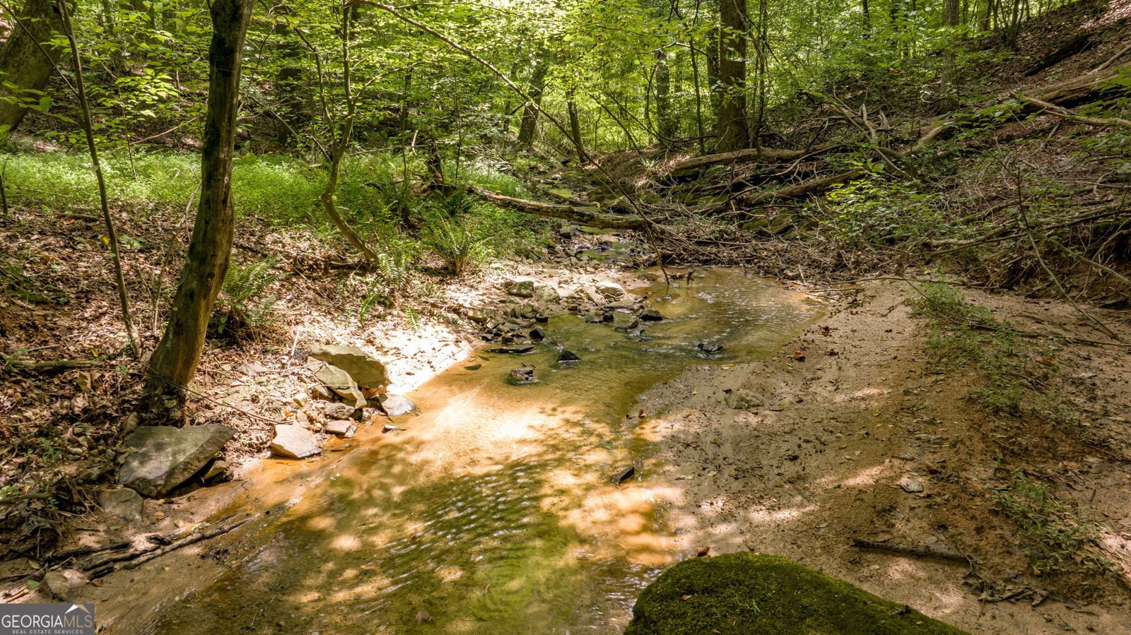 131 Caudell Drive Lula - 92