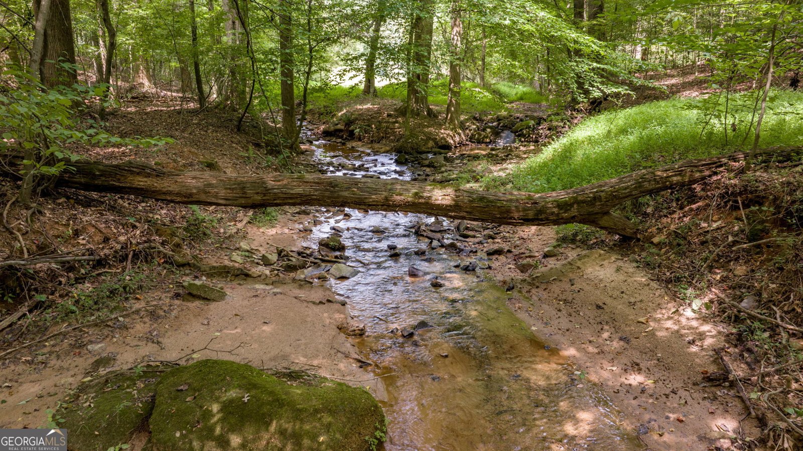 131 Caudell Drive Lula - 93