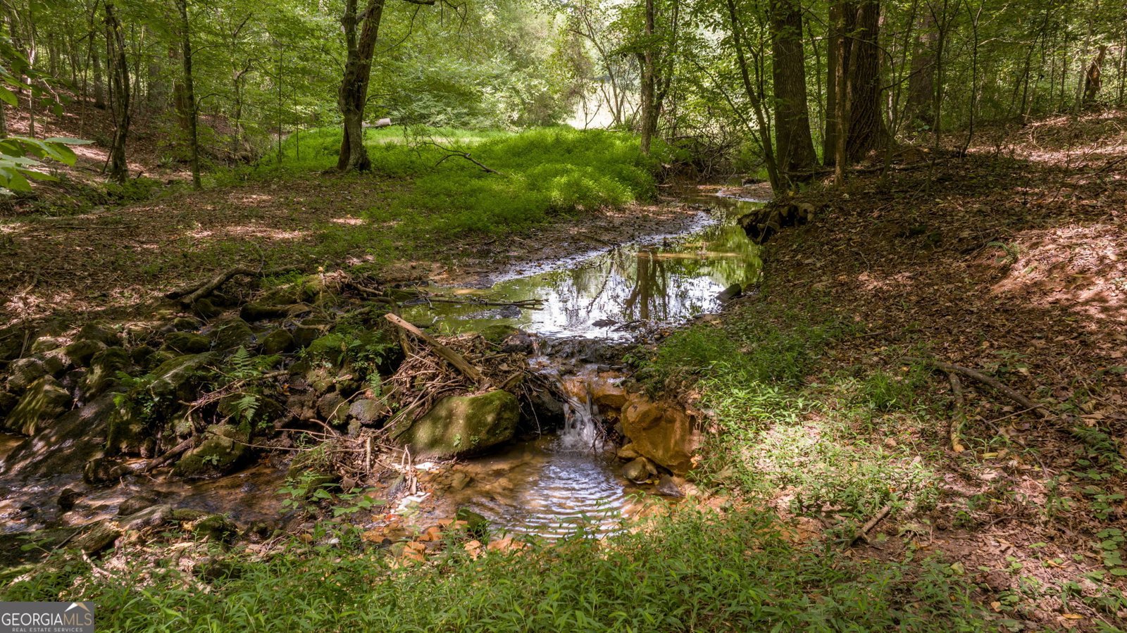 131 Caudell Drive Lula - 95