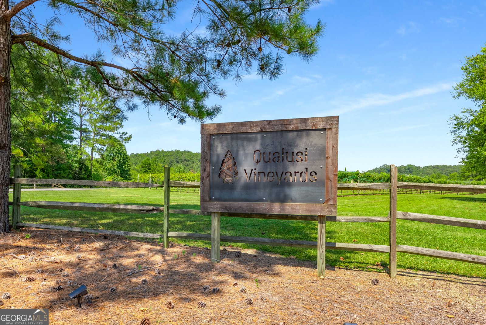 161 Blossom Trail Acworth - 15