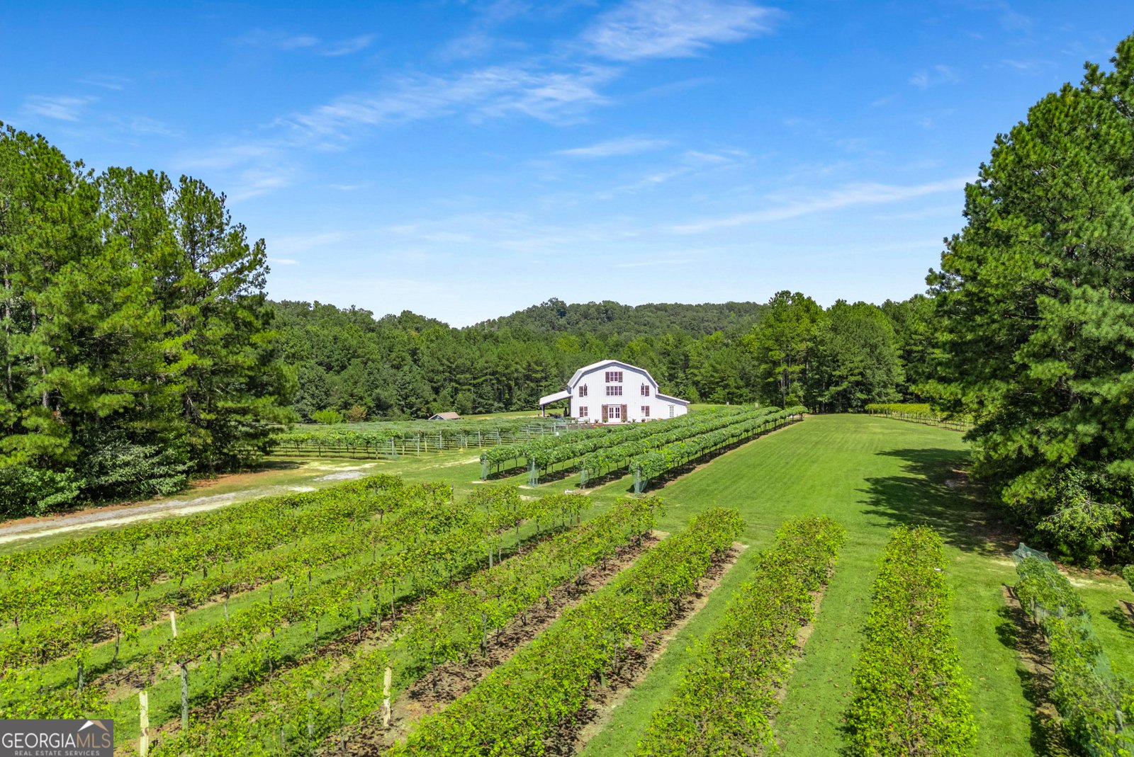 161 Blossom Trail Acworth - 17