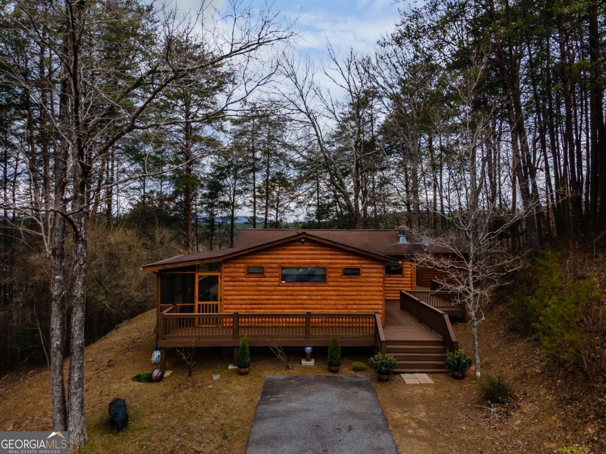 233 River Hills Road Mineral Bluff - 2