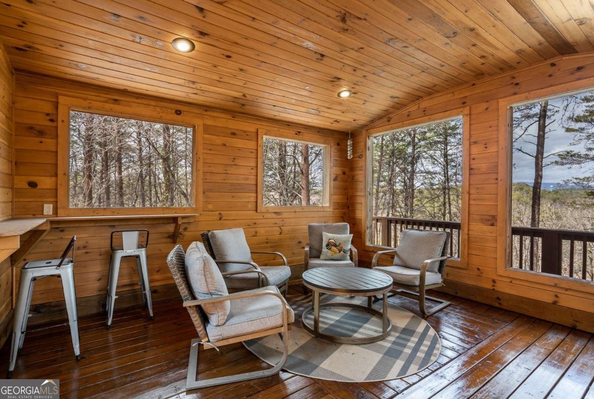 233 River Hills Road Mineral Bluff - 47